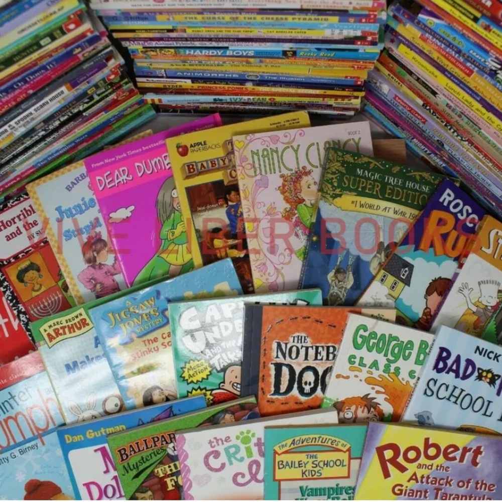Lot of 25 Random Kid’s Books